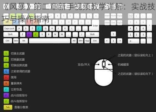 《风暴》第二章新手视频教学详解：实战技巧与操作指南