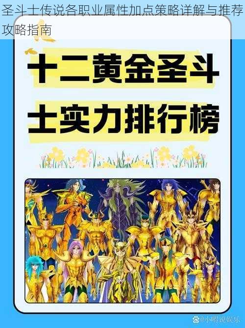 圣斗士传说各职业属性加点策略详解与推荐攻略指南