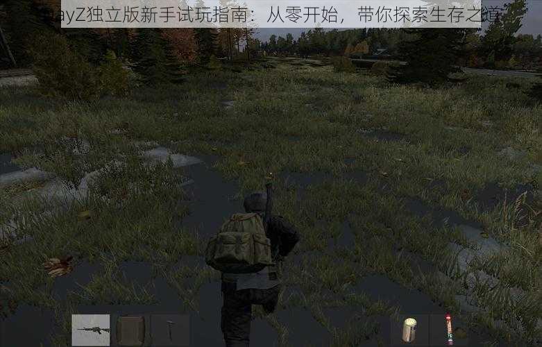 DayZ独立版新手试玩指南：从零开始，带你探索生存之道