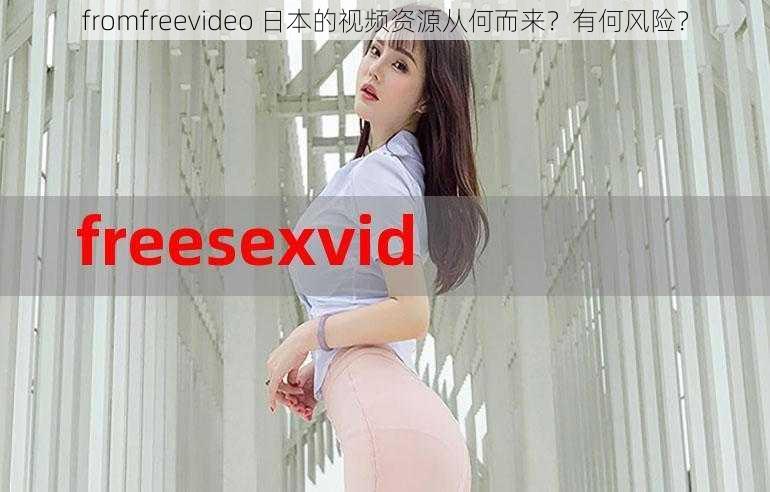 fromfreevideo 日本的视频资源从何而来？有何风险？