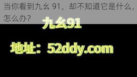 当你看到九幺 91，却不知道它是什么，怎么办？