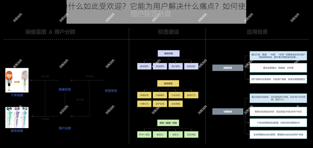 第一福利官方导航为什么如此受欢迎？它能为用户解决什么痛点？如何使用第一福利官方导航？