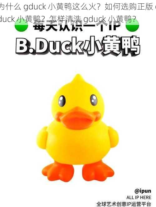 为什么 gduck 小黄鸭这么火？如何选购正版 gduck 小黄鸭？怎样清洗 gduck 小黄鸭？