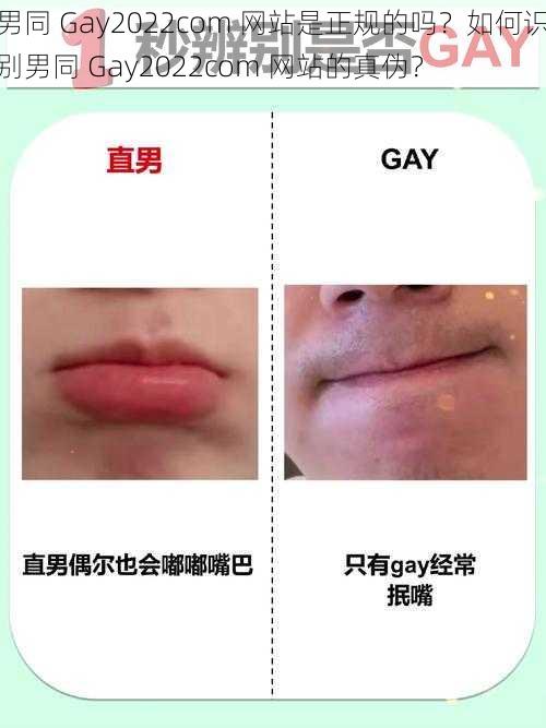 男同 Gay2022com 网站是正规的吗？如何识别男同 Gay2022com 网站的真伪？