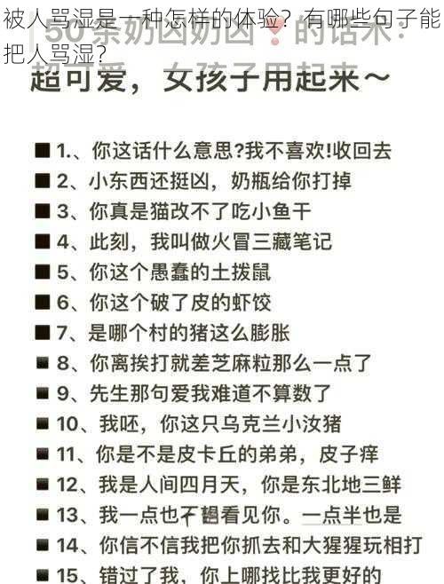 被人骂湿是一种怎样的体验？有哪些句子能把人骂湿？