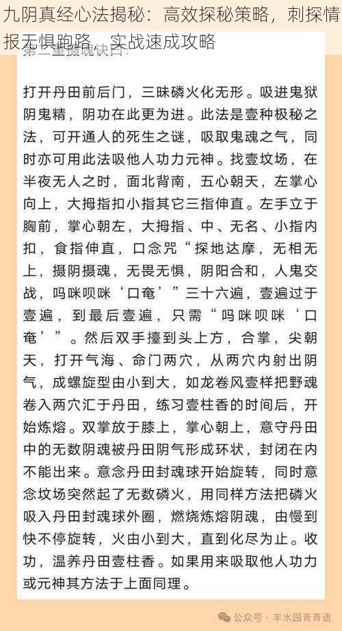 九阴真经心法揭秘：高效探秘策略，刺探情报无惧跑路，实战速成攻略