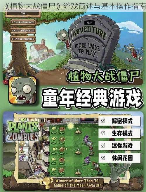 《植物大战僵尸》游戏简述与基本操作指南