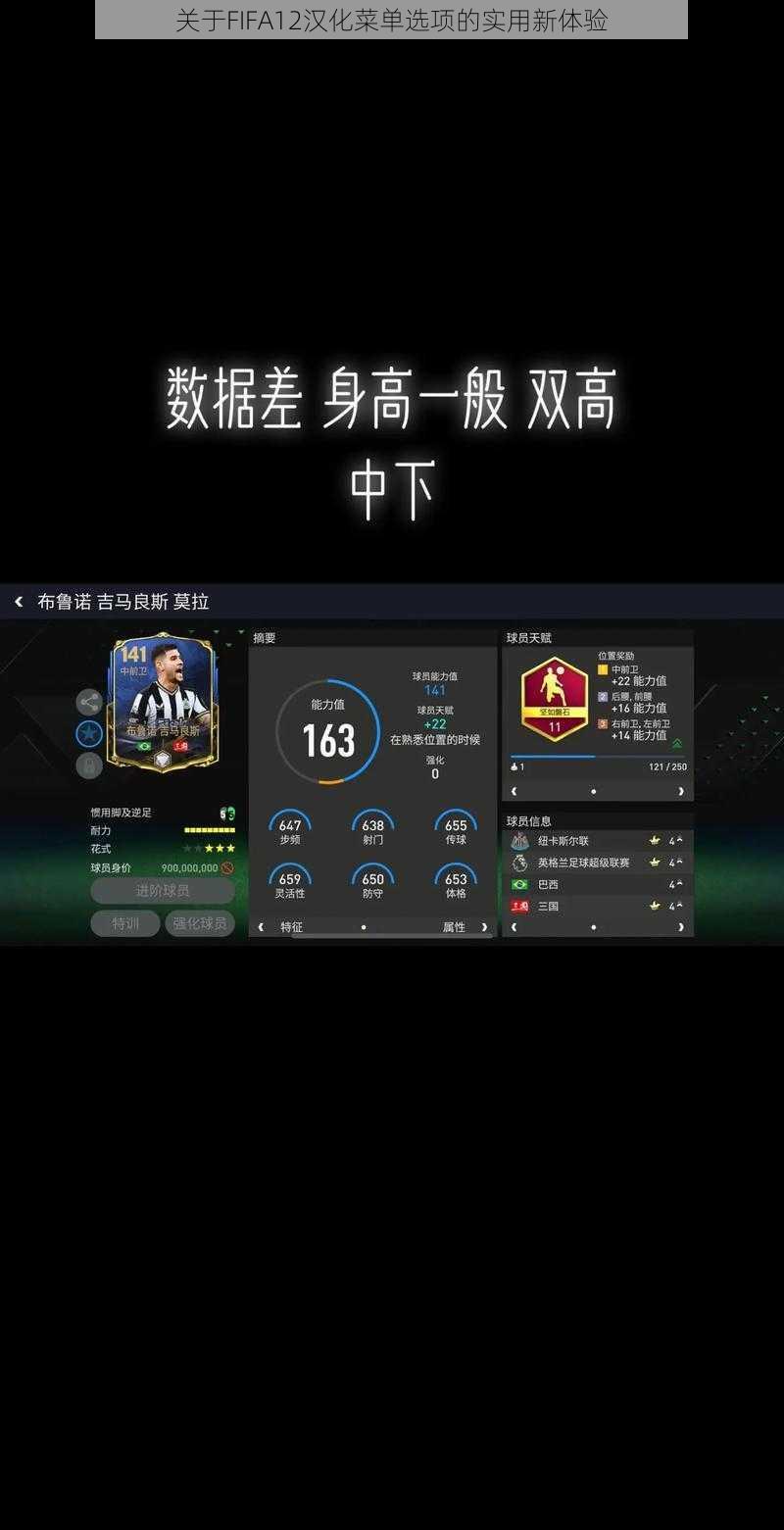 关于FIFA12汉化菜单选项的实用新体验