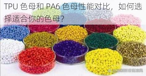 TPU 色母和 PA6 色母性能对比，如何选择适合你的色母？