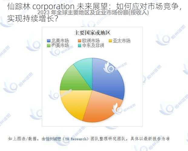 仙踪林 corporation 未来展望：如何应对市场竞争，实现持续增长？