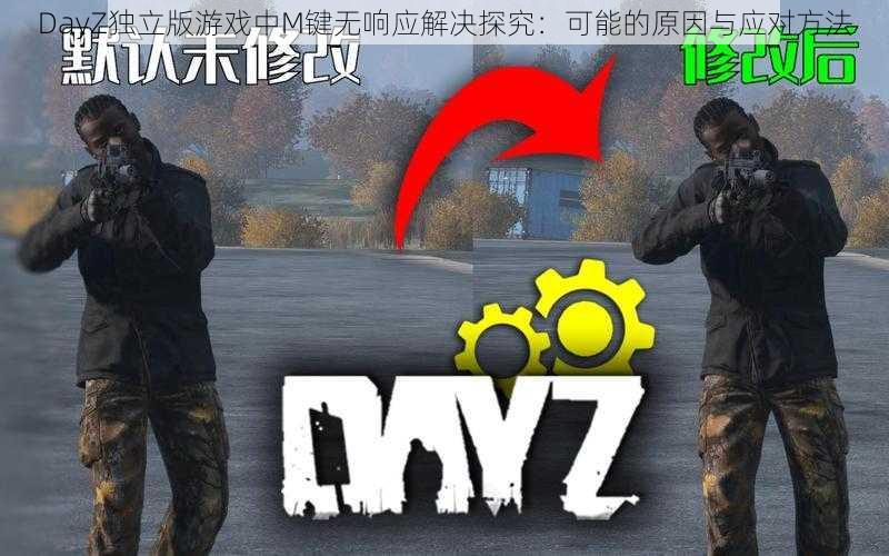 DayZ独立版游戏中M键无响应解决探究：可能的原因与应对方法