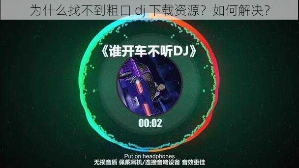 为什么找不到粗口 dj 下载资源？如何解决？