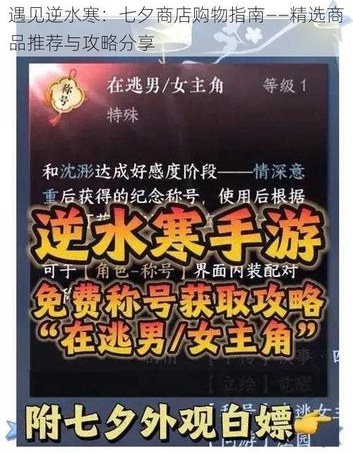 遇见逆水寒：七夕商店购物指南——精选商品推荐与攻略分享