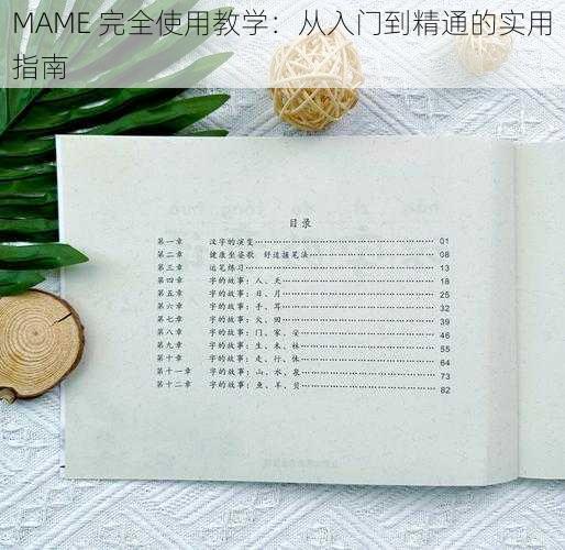 MAME 完全使用教学：从入门到精通的实用指南