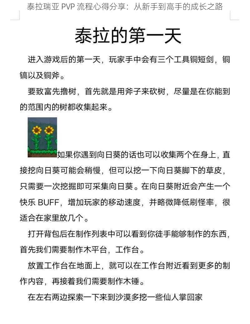 泰拉瑞亚 PVP 流程心得分享：从新手到高手的成长之路