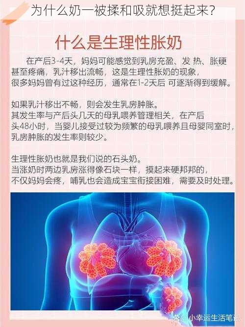 为什么奶一被揉和吸就想挺起来？