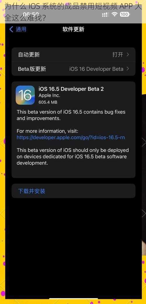 为什么 IOS 系统的成品禁用短视频 APP 大全这么难找？