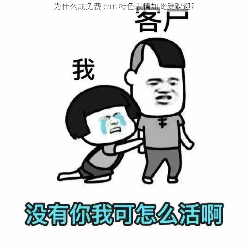 为什么成免费 crm 特色表情如此受欢迎？