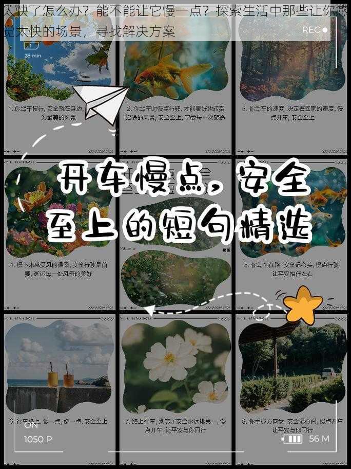 太快了怎么办？能不能让它慢一点？探索生活中那些让你感觉太快的场景，寻找解决方案