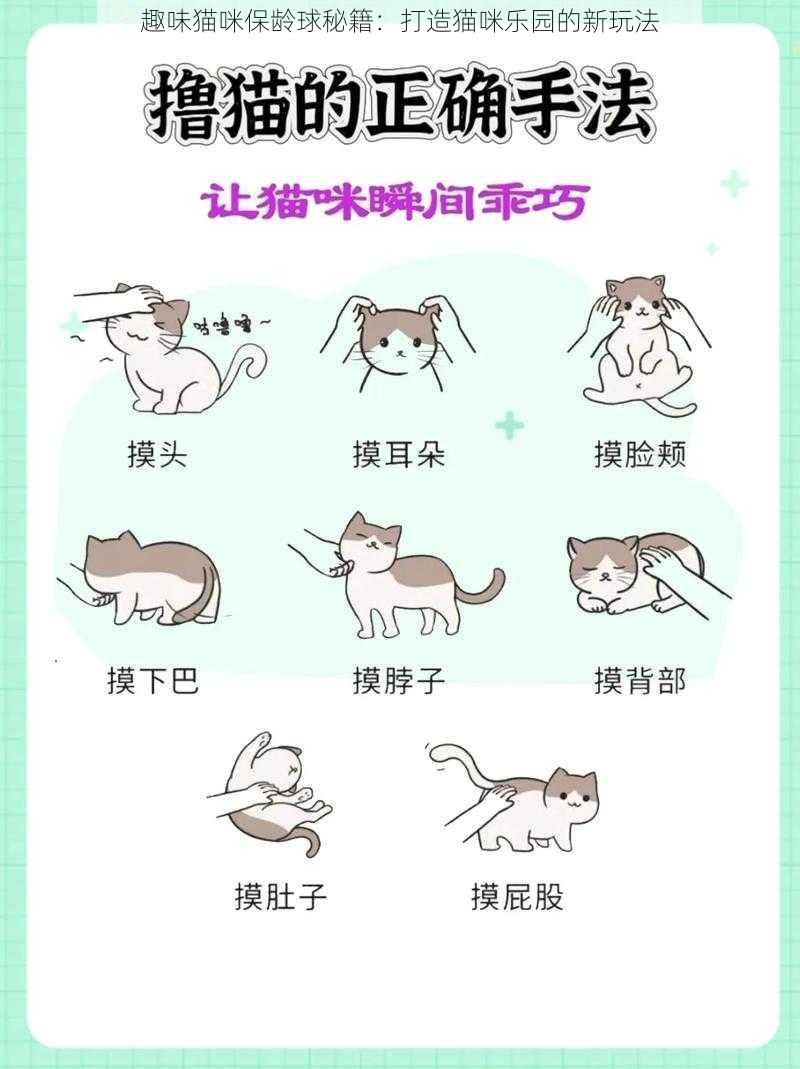 趣味猫咪保龄球秘籍：打造猫咪乐园的新玩法