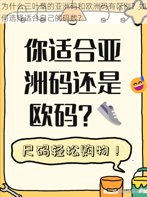 为什么三叶草的亚洲码和欧洲码有区别？如何选择适合自己的码数？