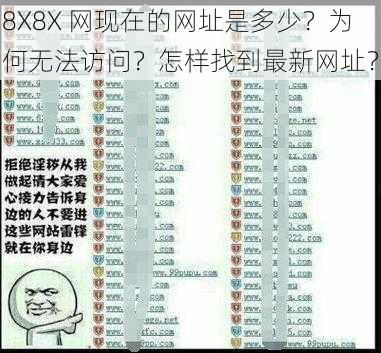 8X8X 网现在的网址是多少？为何无法访问？怎样找到最新网址？