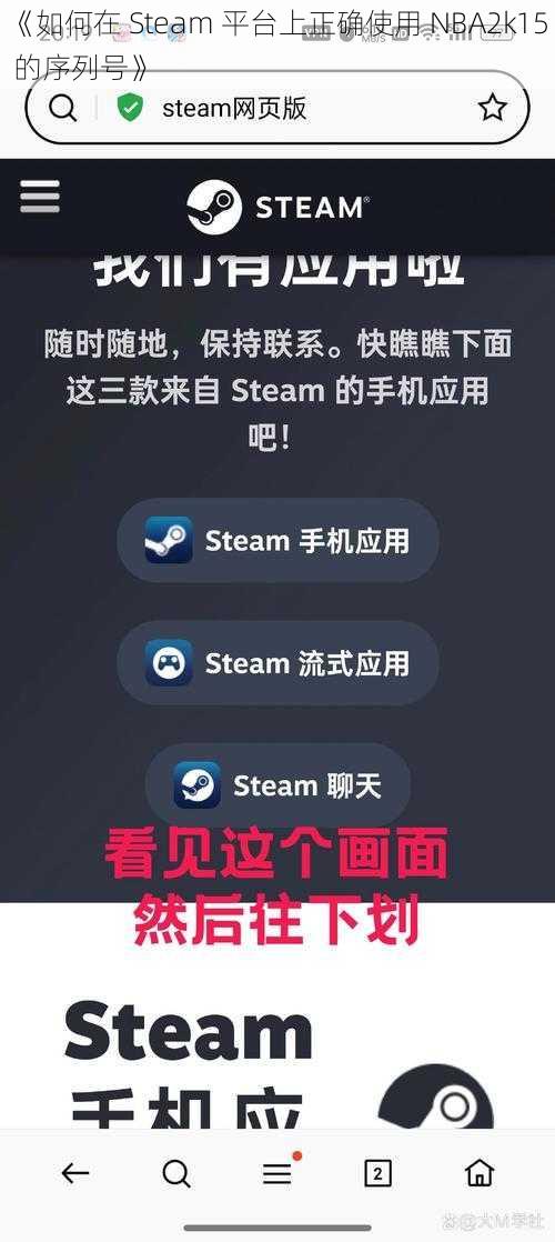 《如何在 Steam 平台上正确使用 NBA2k15 的序列号》