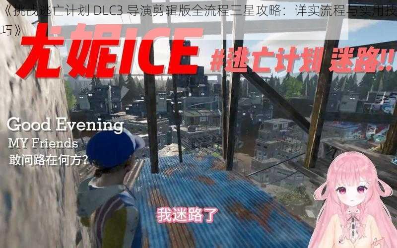 《挑战逃亡计划 DLC3 导演剪辑版全流程三星攻略：详实流程与实用技巧》