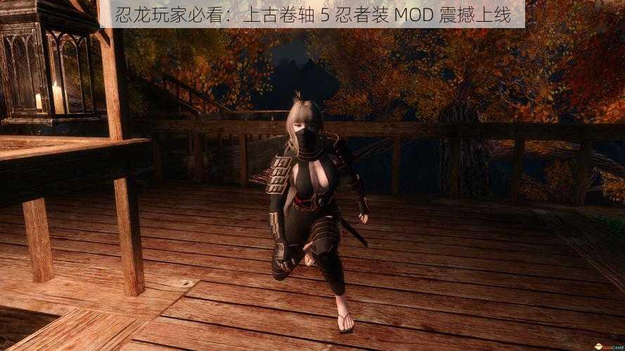 忍龙玩家必看：上古卷轴 5 忍者装 MOD 震撼上线