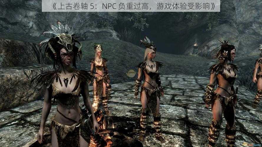 《上古卷轴 5：NPC 负重过高，游戏体验受影响》