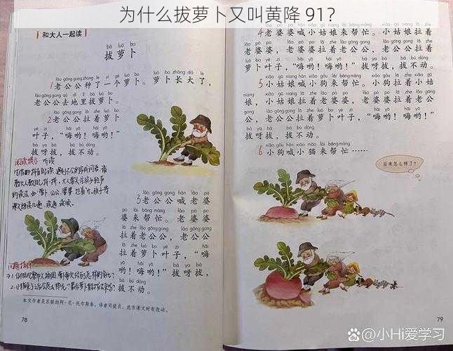 为什么拔萝卜又叫黄降 91？