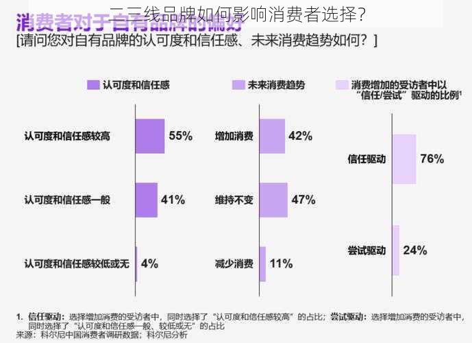 二三线品牌如何影响消费者选择？