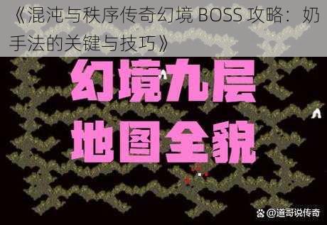 《混沌与秩序传奇幻境 BOSS 攻略：奶手法的关键与技巧》