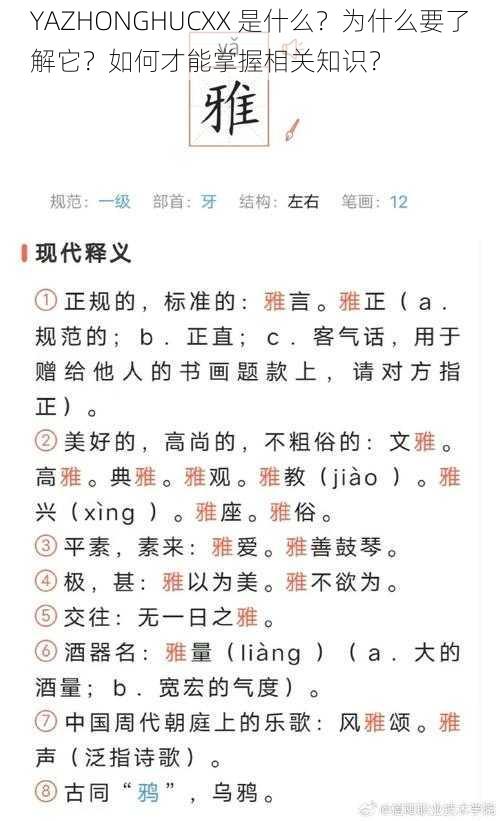 YAZHONGHUCXX 是什么？为什么要了解它？如何才能掌握相关知识？