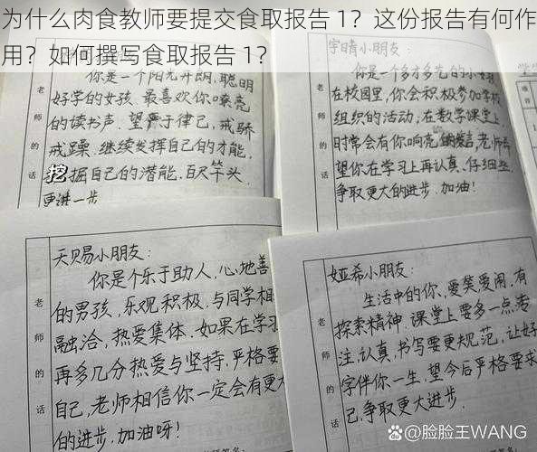 为什么肉食教师要提交食取报告 1？这份报告有何作用？如何撰写食取报告 1？