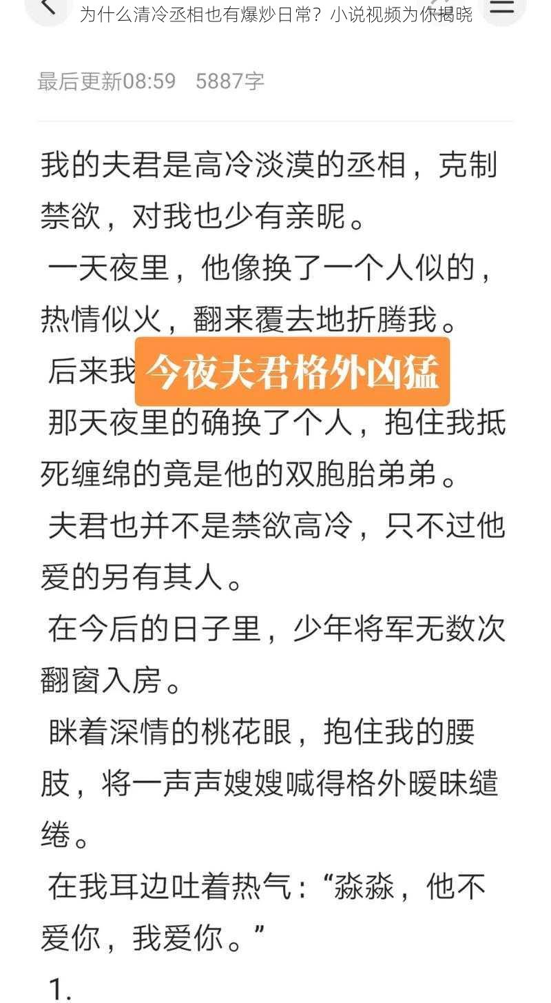 为什么清冷丞相也有爆炒日常？小说视频为你揭晓