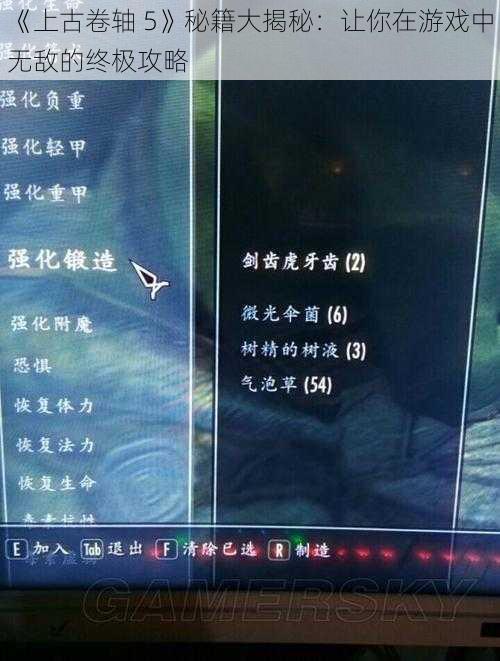 《上古卷轴 5》秘籍大揭秘：让你在游戏中无敌的终极攻略