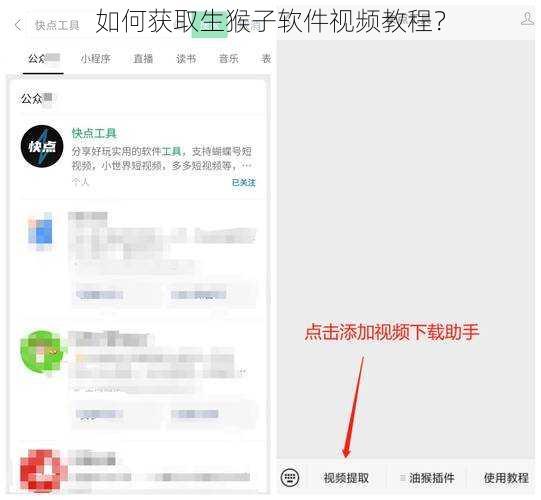 如何获取生猴子软件视频教程？
