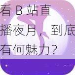 看 B 站直播夜月，到底有何魅力？