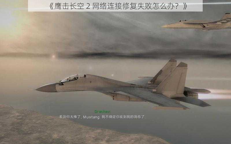 《鹰击长空 2 网络连接修复失败怎么办？》