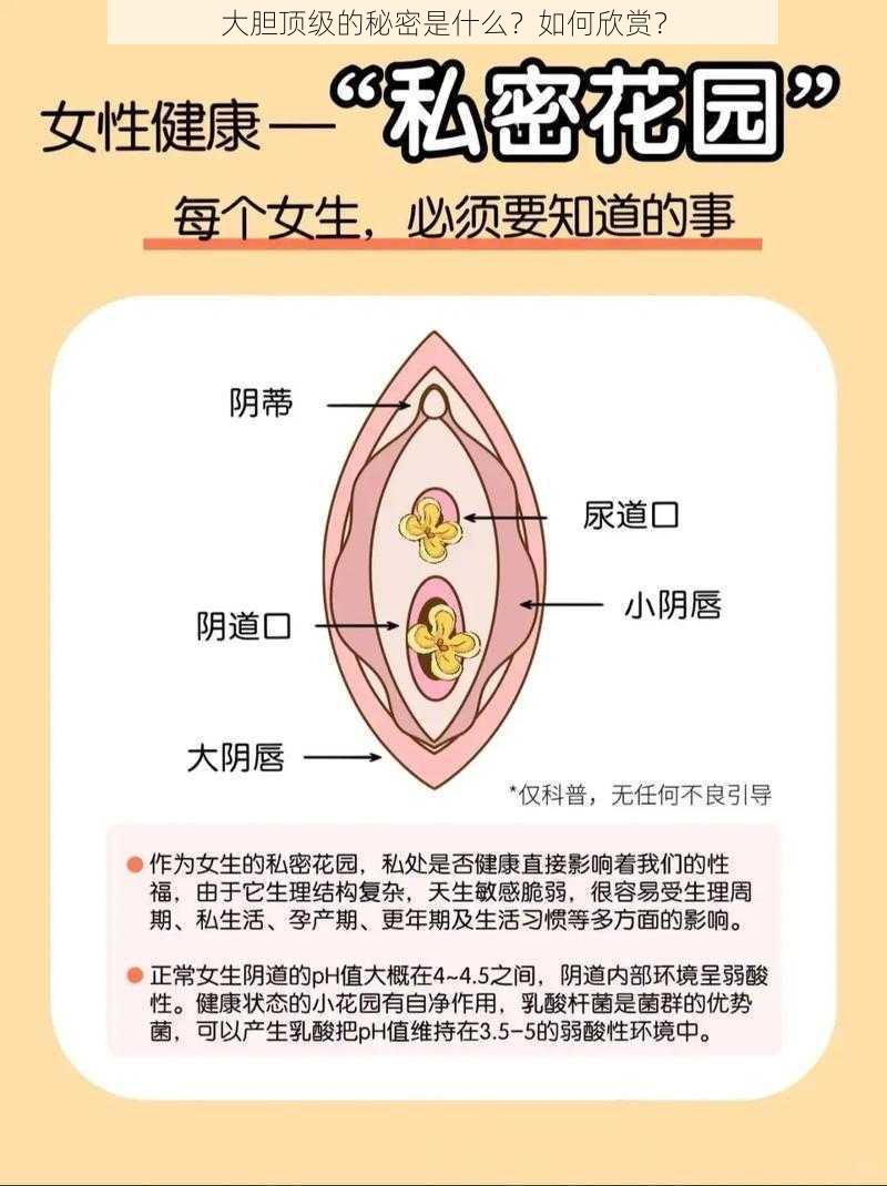 大胆顶级的秘密是什么？如何欣赏？