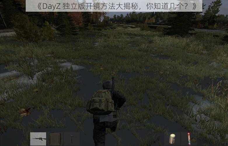 《DayZ 独立版开镜方法大揭秘，你知道几个？》