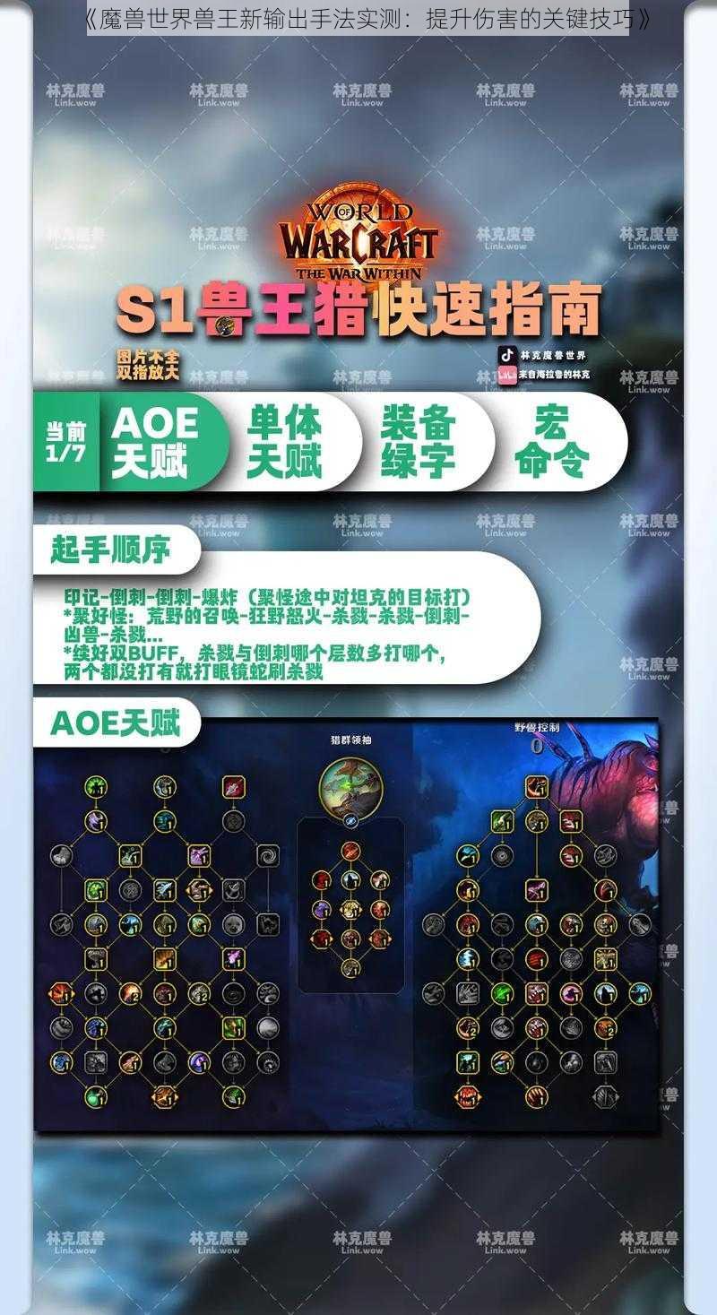 《魔兽世界兽王新输出手法实测：提升伤害的关键技巧》