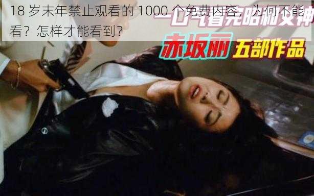 18 岁末年禁止观看的 1000 个免费内容，为何不能看？怎样才能看到？