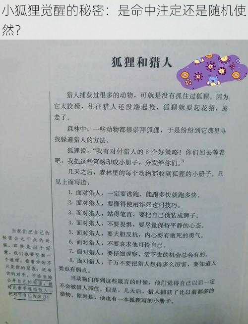 小狐狸觉醒的秘密：是命中注定还是随机使然？