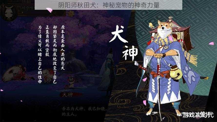 阴阳师秋田犬：神秘宠物的神奇力量