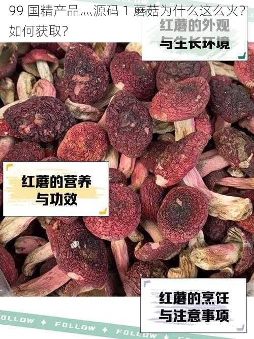 99 国精产品灬源码 1 蘑菇为什么这么火？如何获取？