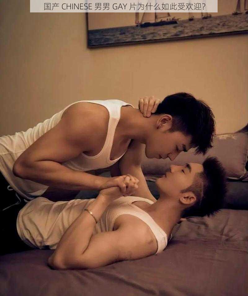 国产 CHINESE 男男 GAY 片为什么如此受欢迎？