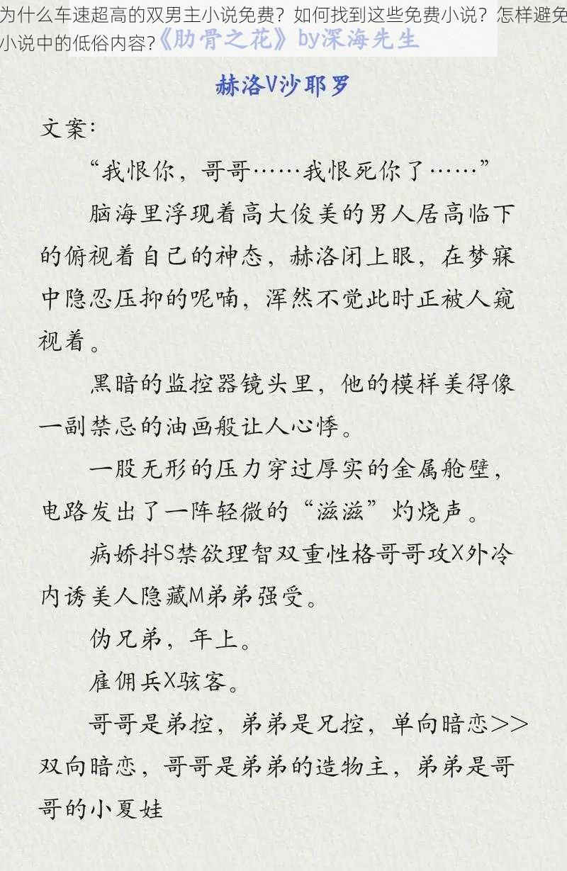 为什么车速超高的双男主小说免费？如何找到这些免费小说？怎样避免小说中的低俗内容？