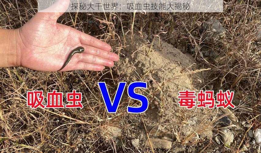 探秘大千世界：吸血虫技能大揭秘